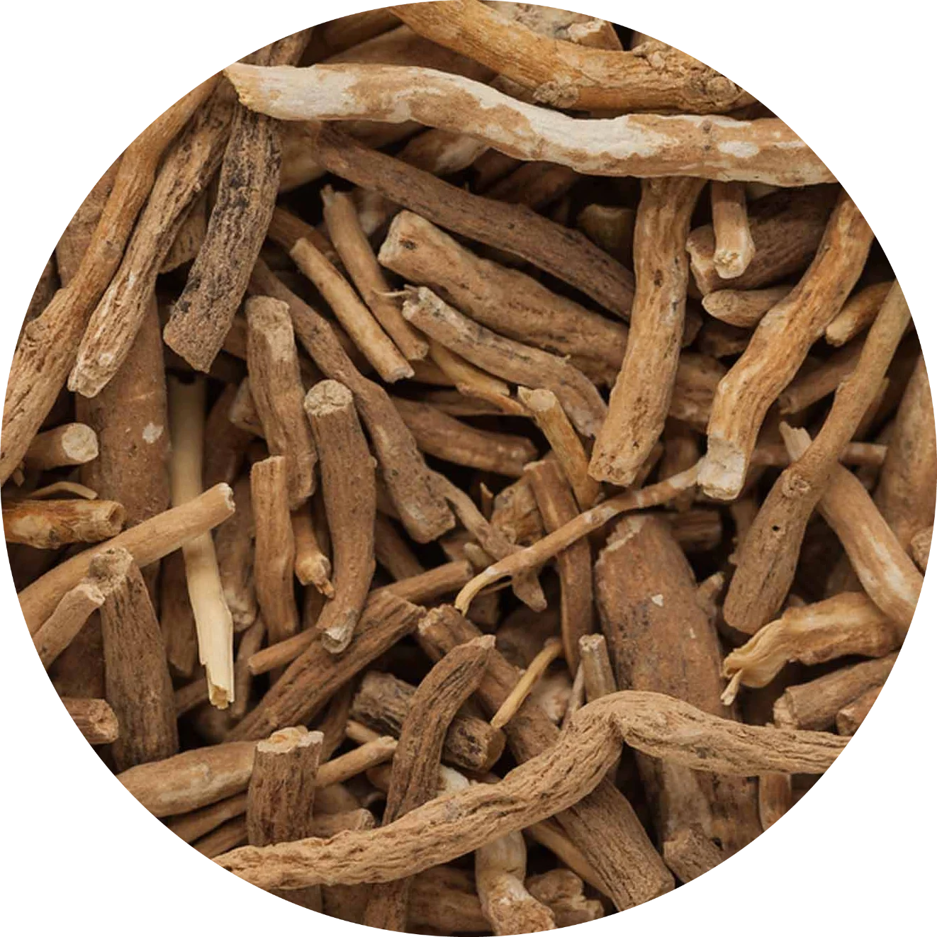 AshwagandhaWithania-somnifera.webp
