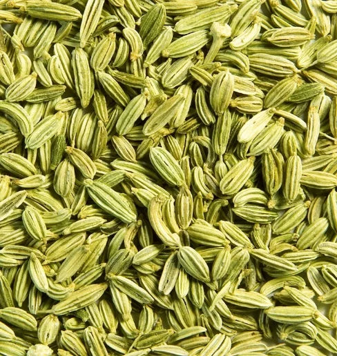 Fennel