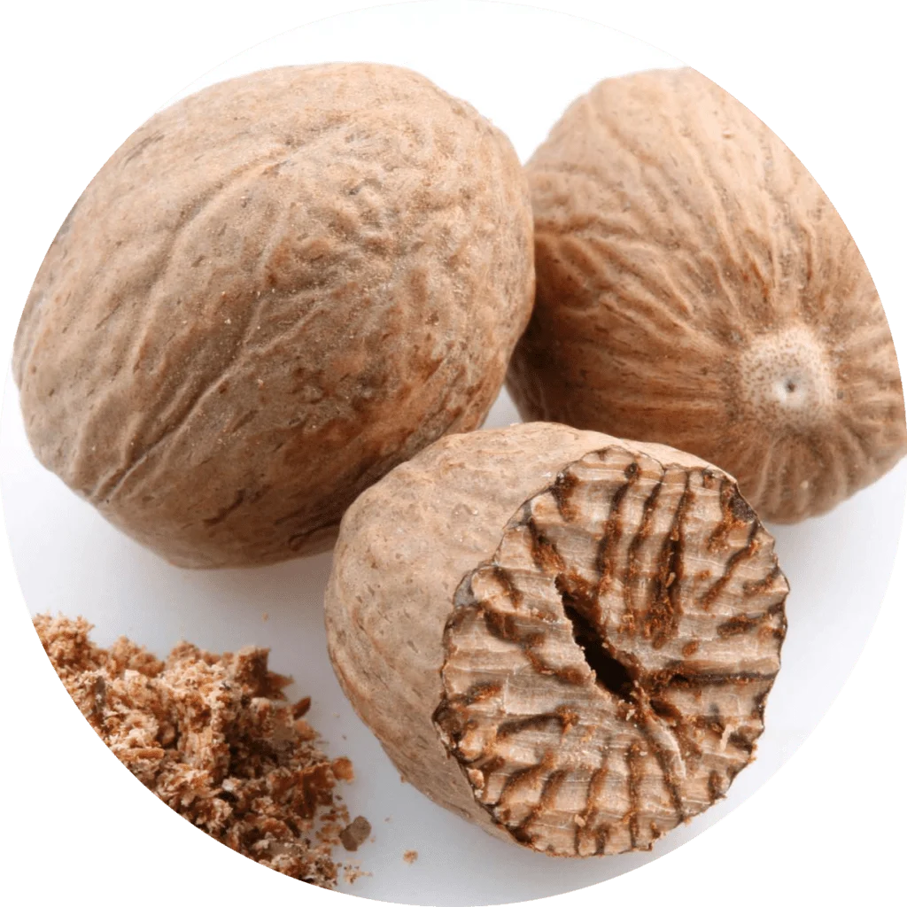 Jatiphala-Myristica-fragrans-1-1024x1024.webp