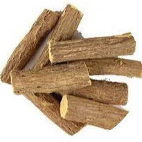 Mulethi-Glycyrrhiza-glabra.webp