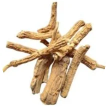 Nishoth.webp