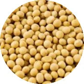 Soy-isoflavones-1.webp