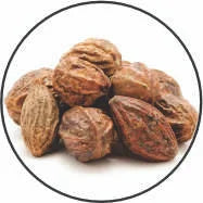 Triphala.webp