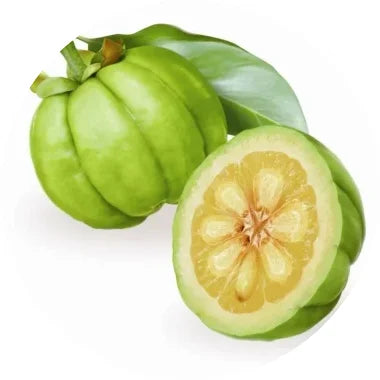 VrikshamlaGarcinia-Cambogia.webp