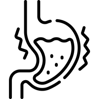 Helps strengthen the mucosal defense mechanism