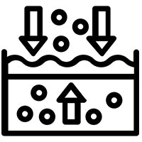 Enhances absorption of nutrients