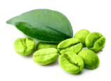 Green Coffee bean extract Green Coffee bean extract