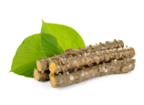 Guduchi extract Guduchi extract