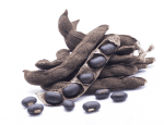 Sava Herbals Sava Herbals