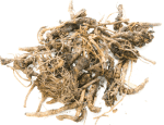 Sava Herbals Sava Herbals