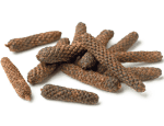 Sava Herbals Sava Herbals