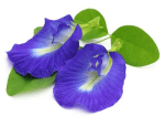 Sava Herbals Sava Herbals