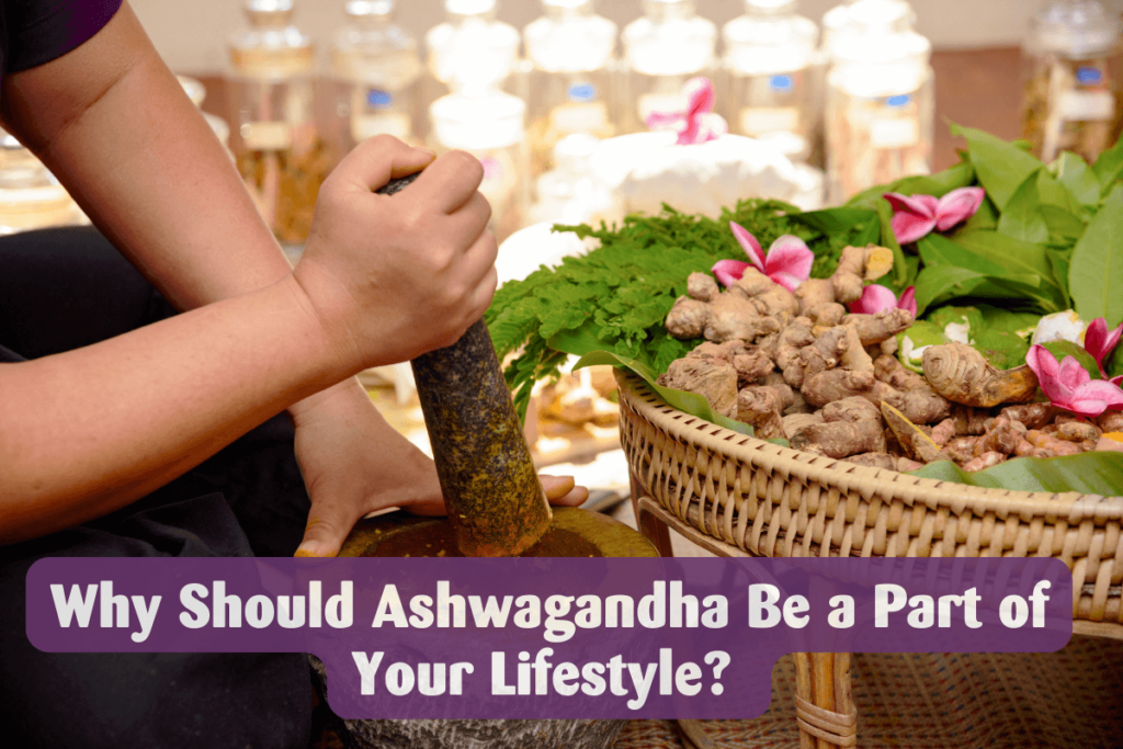 Why Should Ashwagandha Be a Part of Your Lifestyle Header Image