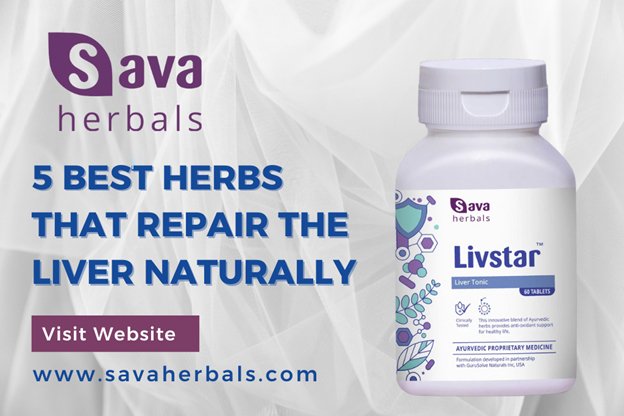 5 Best Herbs that Repair the Liver Naturally
